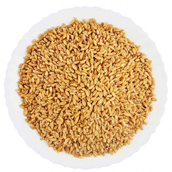 Wheat Medium